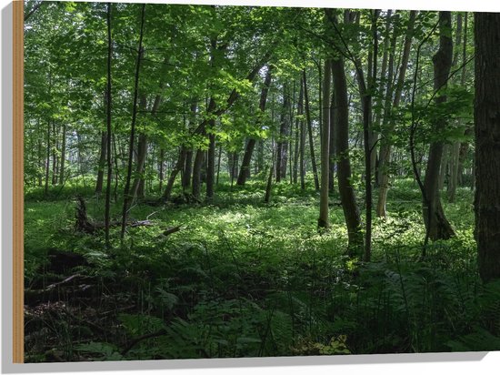 WallClassics - Hout - Verschillende Groene Bomen in Bos - 80x60 cm - 12 mm dik - Foto op Hout (Met Ophangsysteem)
