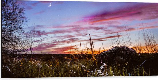 WallClassics - Dibond - Roze Wolken in de Lucht - 100x50 cm Foto op Aluminium (Wanddecoratie van metaal)