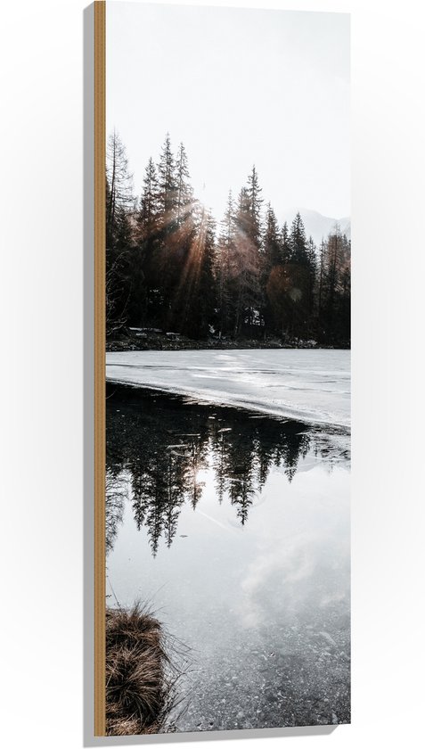 WallClassics - Hout - Zon door Boomtoppen in de Sneeuw - 40x120 cm - 12 ...