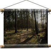 WallClassics - Textielposter - Schaduw over het Bospad - 40x30 cm Foto op Textiel