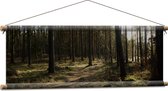 WallClassics - Textielposter - Schaduw over het Bospad - 90x30 cm Foto op Textiel