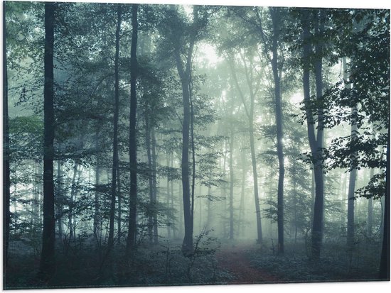 WallClassics - Drapeau - Brouillard dans une forêt sombre - 80x60 cm Photo sur Drapeau Polyester
