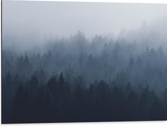 WallClassics - Dibond - Bos in de Mist - 80x60 cm Foto op Aluminium (Met Ophangsysteem)