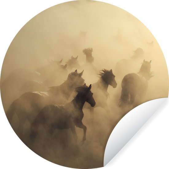 Papier peint Cercle - Paarden - Sable - Groupe - ⌀ 30 cm