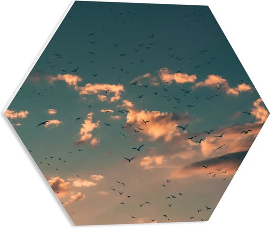 WallClassics - PVC Schuimplaat Hexagon  - Zwerm Vogels bij Witte Wolken - 50x43.5 cm Foto op Hexagon (Met Ophangsysteem)