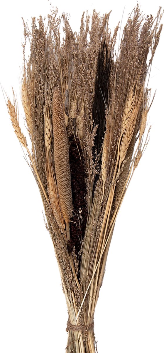 Droogbloemen 60 cm Beige Droogbloemen