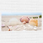 WallClassics - Muursticker - Schelpjes in het Zand op het Strand - 100x50 cm Foto op Muursticker