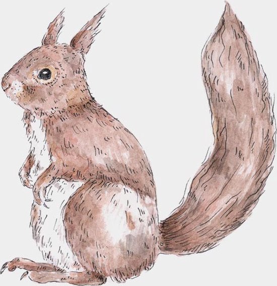 Muursticker | eekhoorn | dieren | wanddecoratie | kinderkamer