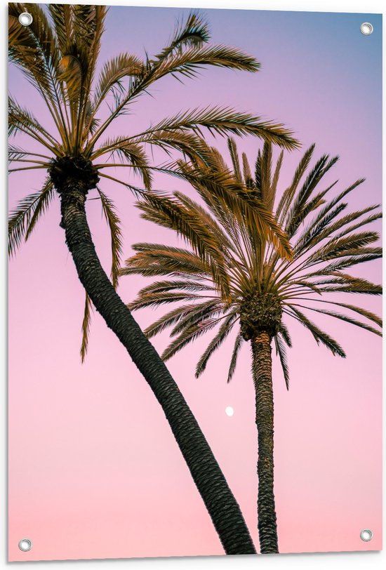 WallClassics - Tuinposter – Twee Palmbomen bij Roze-Blauwe Lucht - 60x80 cm Foto op Tuinposter  (wanddecoratie voor buiten en binnen)