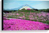 WallClassics - Canvas  - Roze Bloemenveld met Berg in Achtergrond - 60x40 cm Foto op Canvas Schilderij (Wanddecoratie op Canvas)