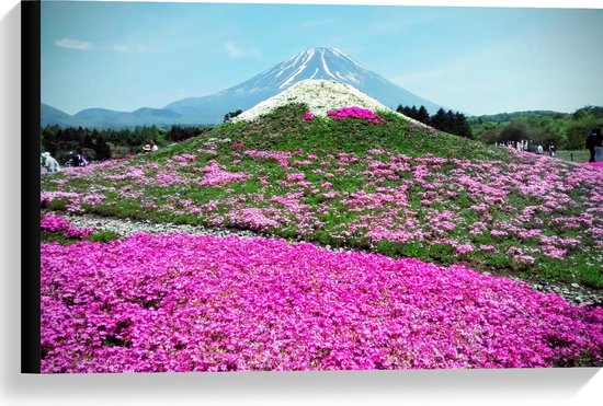 WallClassics - Toile - Champ de fleurs roses avec Berg en arrière-plan - 60x40 cm Photo sur toile (Décoration murale sur toile)