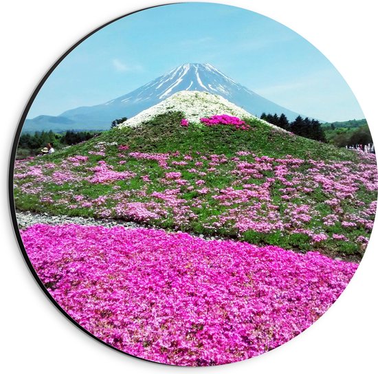 WallClassics - Dibond Muurcirkel - Roze Bloemenveld met Berg in Achtergrond - 20x20 cm Foto op Aluminium Muurcirkel (met ophangsysteem)