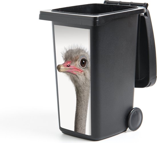 Container sticker Struisvogel - Dieren - Kinderen - Jongens - Meisjes - Vogel - 44x98 cm - Kliko sticker