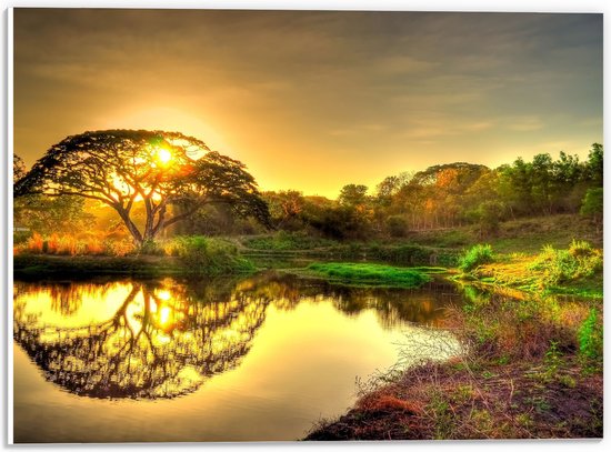 WallClassics - PVC Schuimplaat - Natuurlandschap bij Zonsondergang - 40x30 cm Foto op PVC Schuimplaat (Met Ophangsysteem)