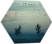 WallClassics - PVC Schuimplaat Hexagon  - Paarden in de Mist - 50x43.5 cm Foto op Hexagon (Met Ophangsysteem)