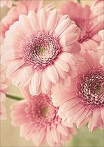 Diamond painting - Canvasdoek met voorbedrukte afbeelding - 30 x 40 - roze bloemen