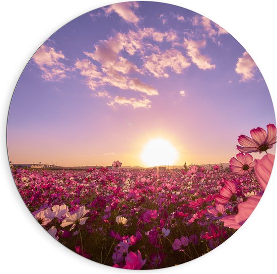 WallClassics - Dibond Muurcirkel - Veld Roze Bloemen met Paarse Lucht - 90x90 cm Foto op Aluminium Muurcirkel (met ophangsysteem)