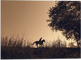 WallClassics - Drapeau - Silhouette d'un Cavalier - 40x30 cm Photo sur Drapeau Polyester