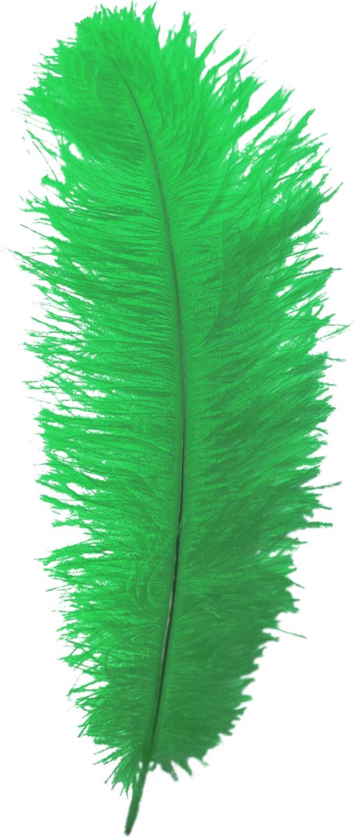 Veer - Groen - - Piet - 30cm |