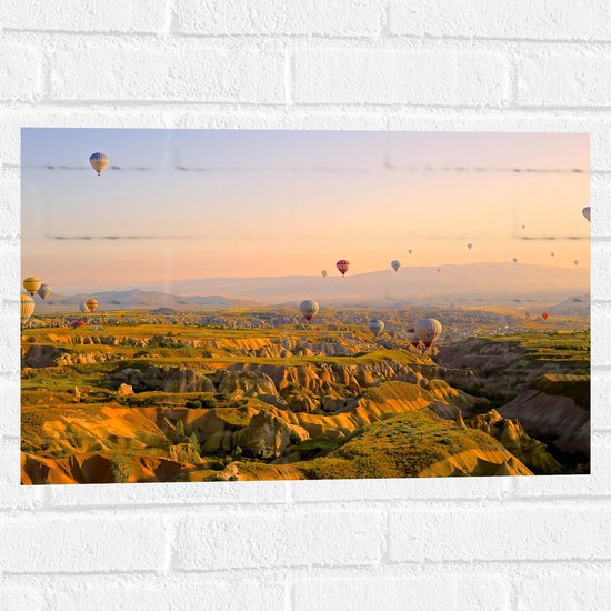 WallClassics - Muursticker - Luchtballonnen boven Bergen en Heuvels - 60x40 cm Foto op Muursticker