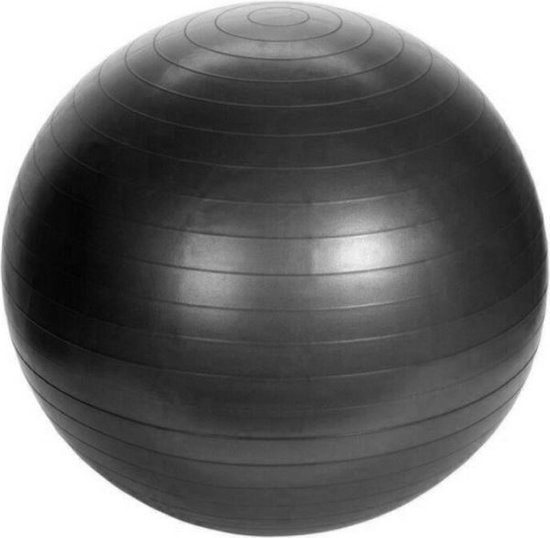 Schildkröt Unisex Adult Gymnastics Ball 55 cm, Colour 0