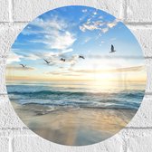 WallClassics - Muursticker Cirkel - Meeuwen boven het Strand en Zee - 30x30 cm Foto op Muursticker