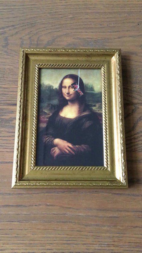 kompas Jasje Schotel Grappige Mona Lisa - kunst in het klein - kunst cadeau - ingelijst 15x20cm  | bol.com