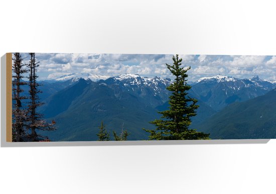 WallClassics - Hout - Uitzicht van Bomen en Bergen - 90x30 cm - 12 mm dik - Foto op Hout (Met Ophangsysteem)