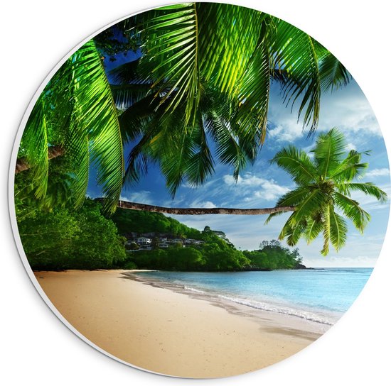 WallClassics - PVC Schuimplaat Muurcirkel - Palmbomen aan het Strand - 20x20 cm Foto op Muurcirkel (met ophangsysteem)