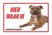 Waakbord/ bord | "Hier waak ik" | 30 x 20 cm | Stafford | Staffordshire-bulterriër | Dikte: 1 mm | Gevaarlijke hond | Waakhond | Hond | Chien | Dog | Betreden op eigen risico | Polystyreen | Rechthoek | Witte achtergrond | 1 stuk