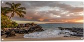 WallClassics - Tuinposter – Tropisch Strand - 100x50 cm Foto op Tuinposter  (wanddecoratie voor buiten en binnen)