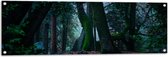 WallClassics - Poster de jardin - Grands Arbres tordus dans la forêt - 120x40 cm Photo sur Poster de jardin (décoration murale pour l'extérieur et l'intérieur)