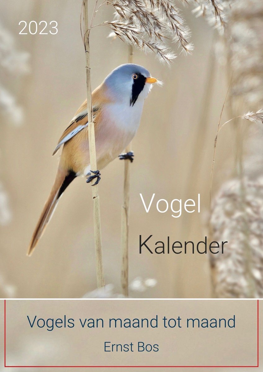 Kalender: Vogels van maand tot maand