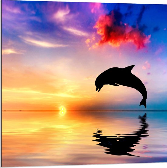 WallClassics - Dibond - Silhouet van Dolfijn bij Ondergaande Zon in het Water - 80x80 cm Foto op Aluminium (Wanddecoratie van metaal)