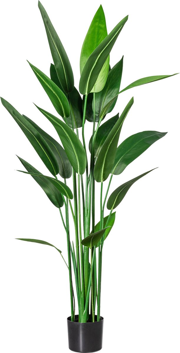 Kopu Kunstplant Canna 140 cm 20 bladeren - in zwarte pot - Bloemriet Groen