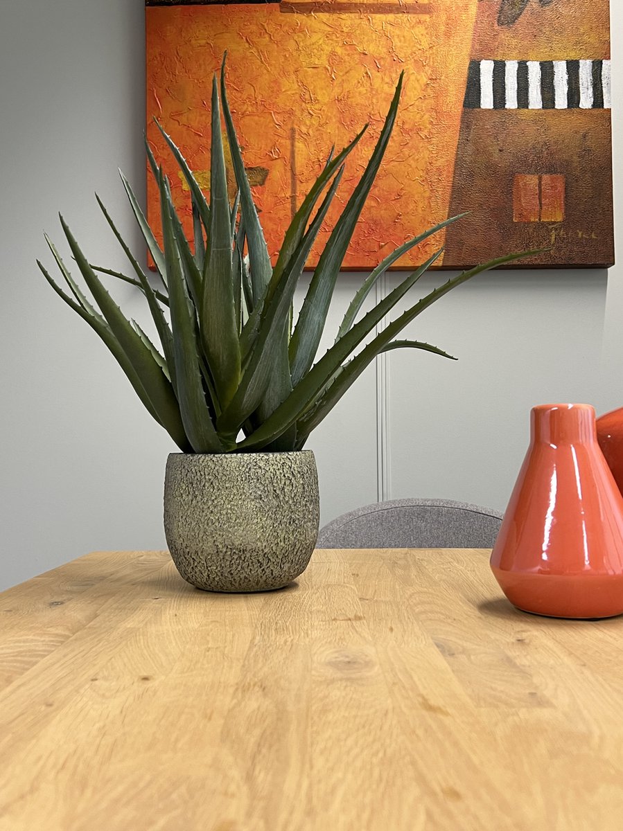 Kopu Kunstplant Aloe Vera 48 cm In Binnenpot met Aarde - 30 Bladeren