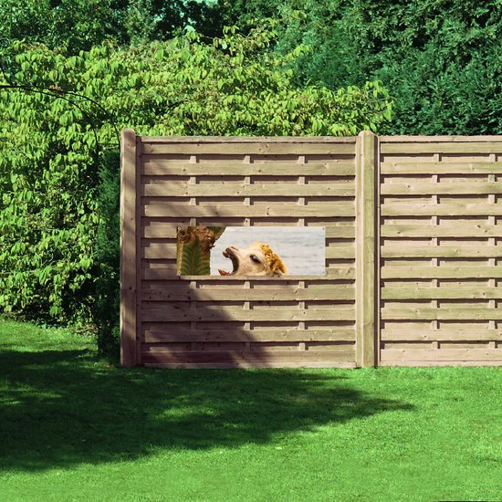 WallClassics - Poster de Jardin - Alpaga Mange un Cactus sur la Plage - 120x40 cm Photo sur Poster de Jardin (décoration murale pour extérieur et intérieur)