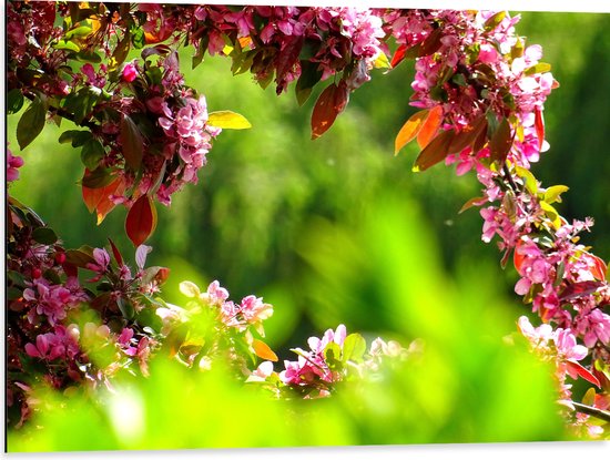 WallClassics - Dibond - Roze Bladeren aan Tak - 80x60 cm Foto op Aluminium (Met Ophangsysteem)