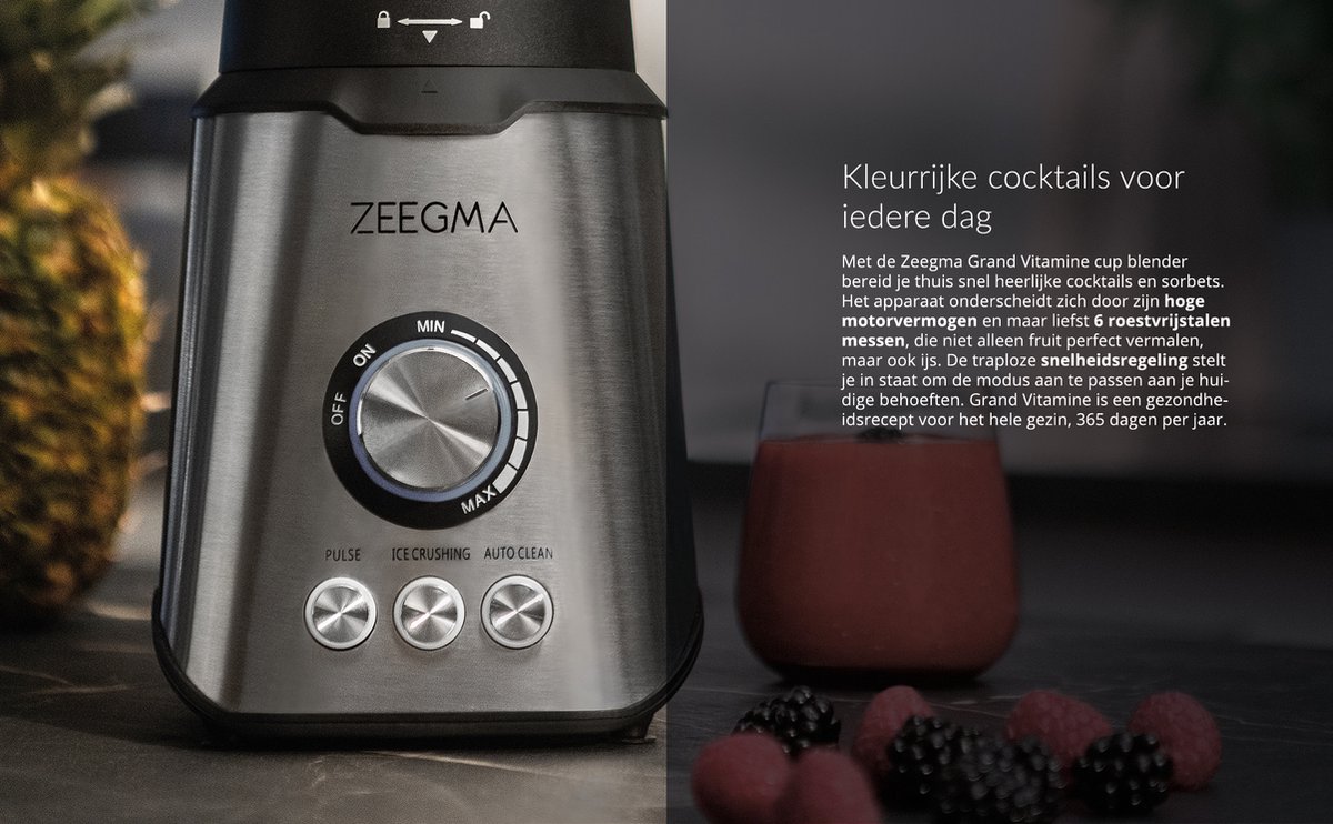 ZEEGMA Grand Vitamine - Blender - Moteur puissant de 1600W - 3