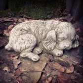 Betonnen tuinbeeld - slapende pup Engelse cocker spaniël