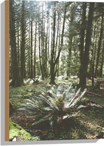 WallClassics - Hout - Grote Groene Varenplant in Bos - 40x60 cm - 12 mm dik - Foto op Hout (Met Ophangsysteem)