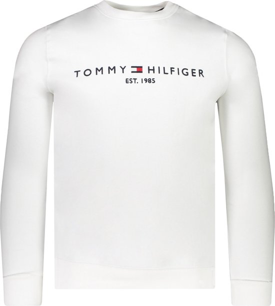 Tommy Hilfiger Sweater Wit Normaal - Maat S - Mannen - 31! Collectie -  Katoen | bol.com