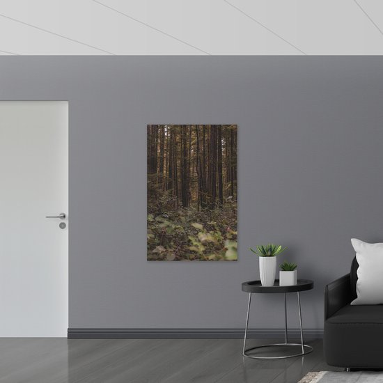 WallClassics - Verre Acrylique - La Forêt - 80x120 cm Photo sur Verre Acrylique (Avec Système d'accrochage)