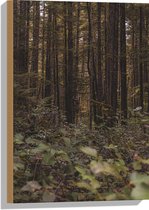 WallClassics - Bois - La Forêt - 40x60 cm - 12 mm d'épaisseur - Photo sur Bois (Avec Système de Suspension)