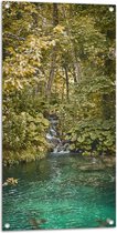 WallClassics - Tuinposter – Kleine Natuurlijke Waterval tussen Bomen - 50x100 cm Foto op Tuinposter  (wanddecoratie voor buiten en binnen)