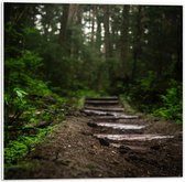 WallClassics - Panneau en mousse PVC - Chemin en dalles de pierre à travers la forêt - Photo 50x50 cm sur panneau en mousse PVC (avec système de suspension)