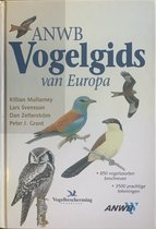 Hardcover