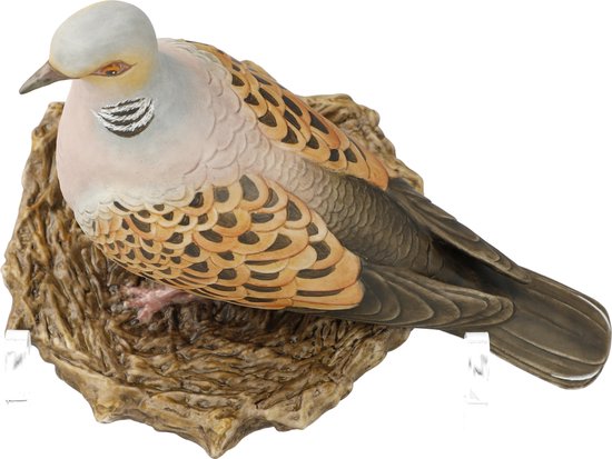 Oiseau de l'année 2020: Inséparable grand
