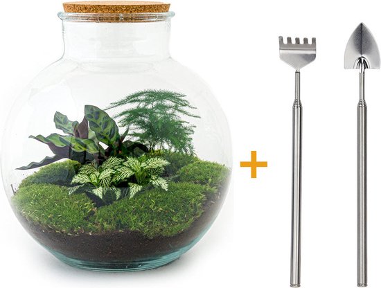 Terrarium fles met verlichting - Fat Joe - 29 cm ↑ 30 cm