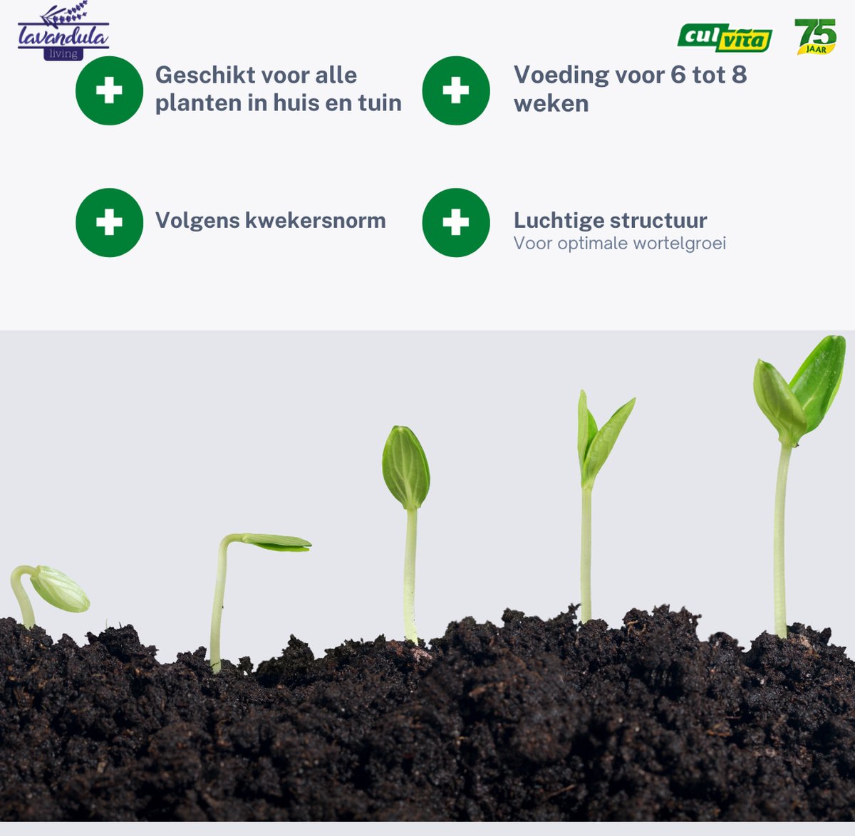 Substral - Potgrond Kamerplanten en Palmen 10L - #05910456 | België Substral - Potgrond Kamerplanten en Palmen 10L - #05910456 | België